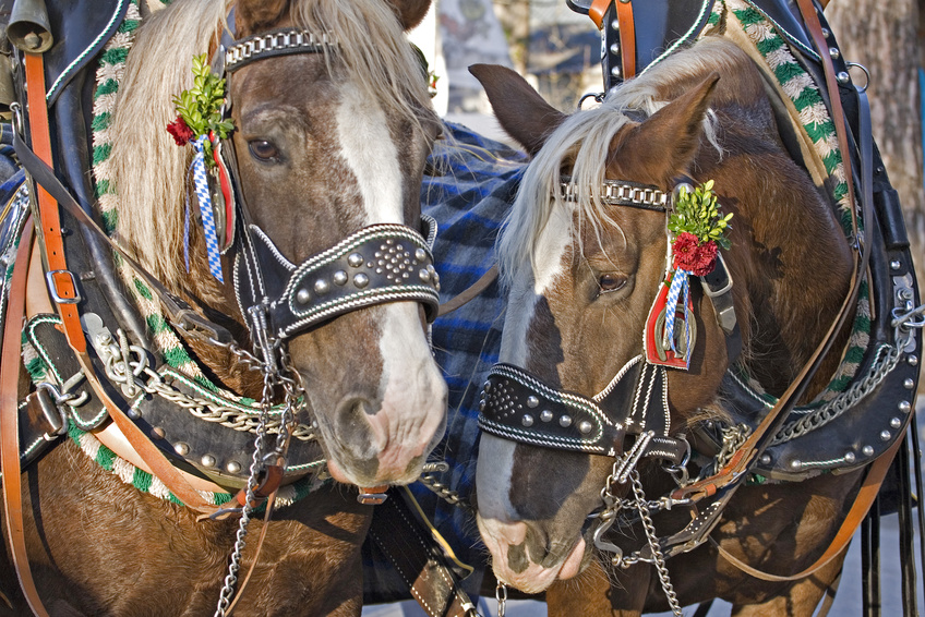 Leonhardi-Fahrt BAD TÖLZ