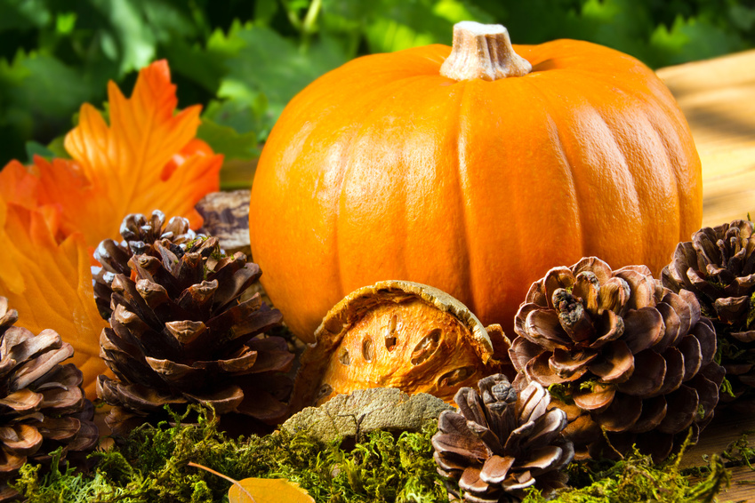 Kürbisausstellung Blühendes Barock